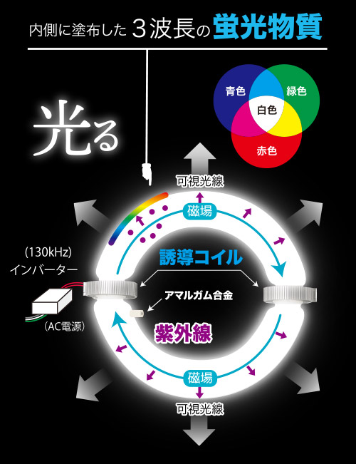 発光原理と構造