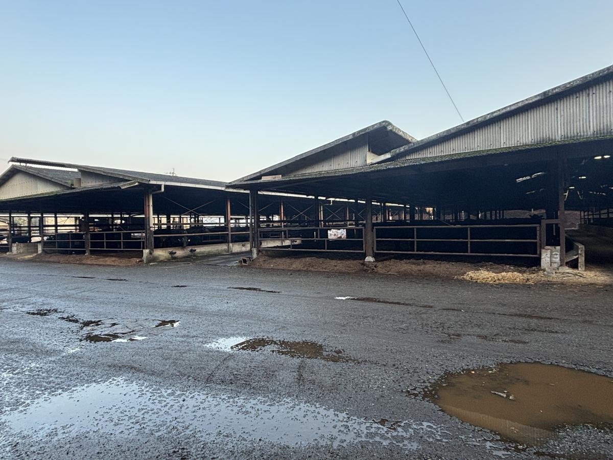 【福岡県】穂坂牧場 様の画像